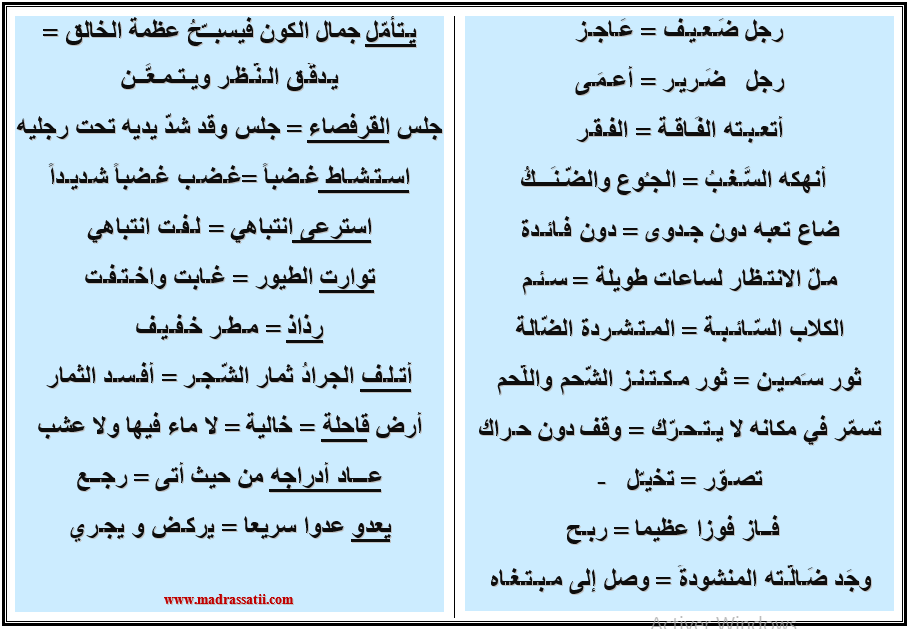 مفردات لغة عربية موقع مدرستي كوم