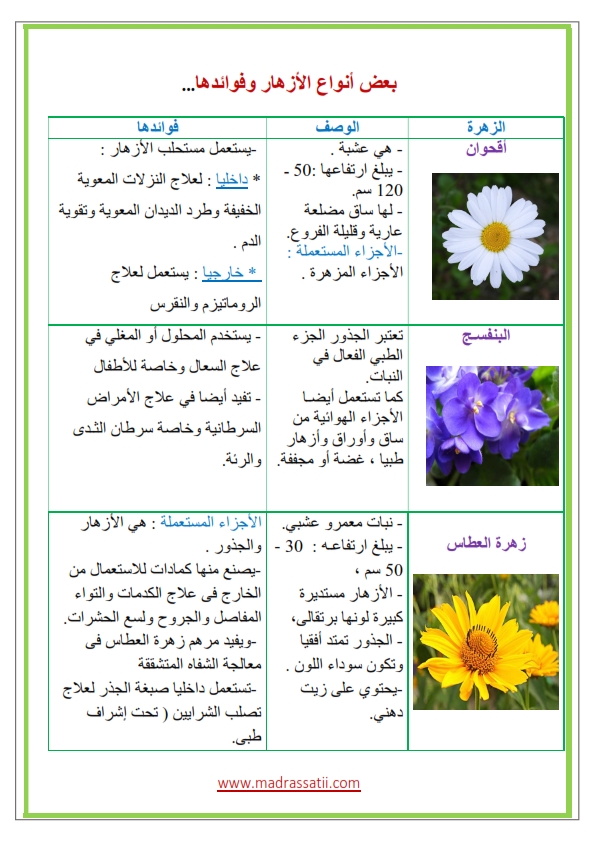 Azhar-types-des-fleurs-et-leurs-utilités_001