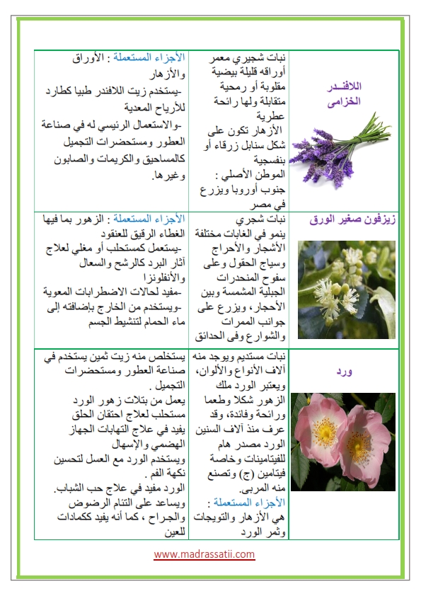 Azhar-types-des-fleurs-et-leurs-utilités_003