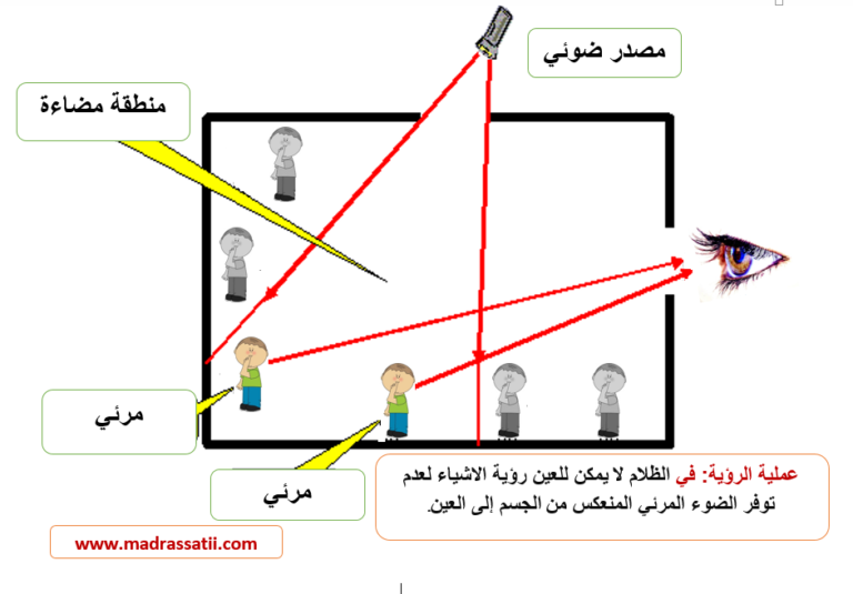 العين و الضوء عملية الرؤية موقع مدرستي 3428