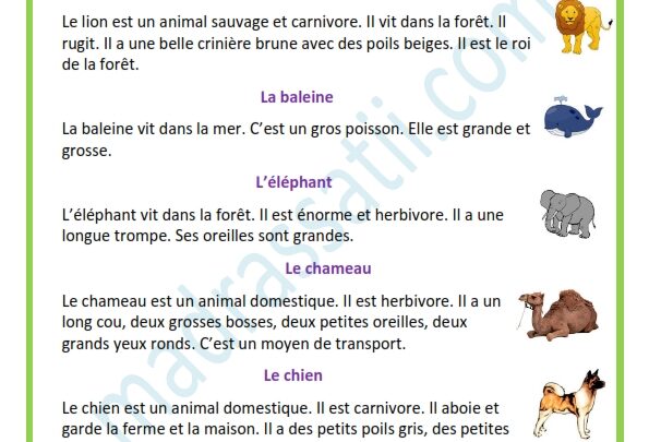 Description De Quelques Animaux موقع مدرستي