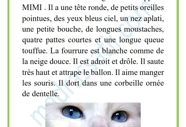 description d’un chat – je décris mon chat – موقع مدرستي