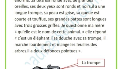 بالفرنسية Production Ecrite الصفحة 6 موقع مدرستي