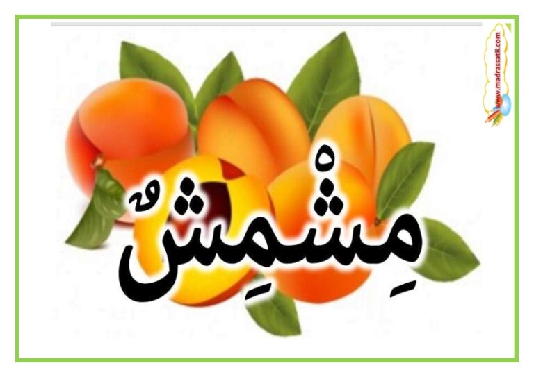 أسماء و صور الغلال - اسماء و صور الفواكه - موقع مدرستي