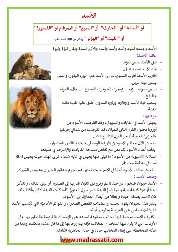 ملك الغابة الأسد تقرير شامل موقع مدرستي