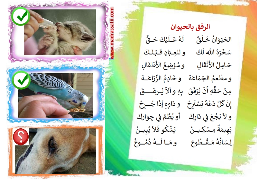 قصيدة الرفق بالحيوان حسن معاملة الحيوان موقع مدرستي