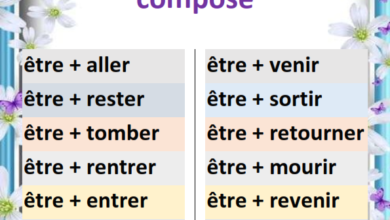 Photo of Les verbes conjugués avec être au passé composé