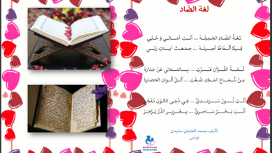 أنشودة سر الخلق محمد الفاضل سليمان موقع مدرستي