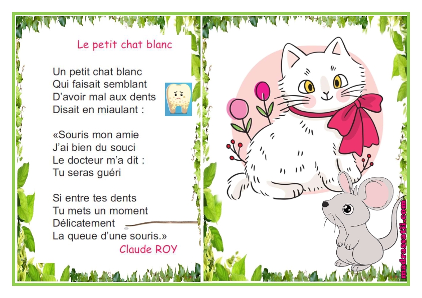 WEB限定カラー Le petit セット（みみとしっぽ）W blanc chat その他 - www.ionenergy.co