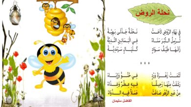 محفوظات نحلة الروض حول النحل العسل