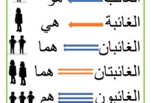 ضمائر الغائب موقع مدرستي