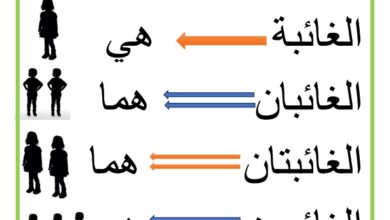 ضمائر الغائب موقع مدرستي