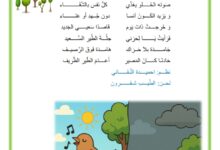 انشودة قصة طير