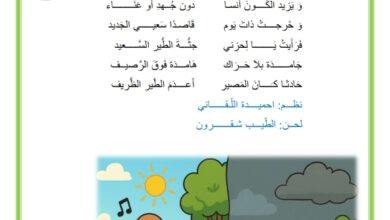 انشودة قصة طير