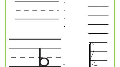l'alphabet minuscule cursive et script