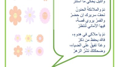 هدهدة - حنان الأم - موقع مدرستي