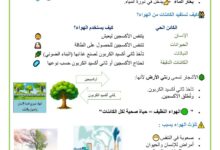الهواء ضروري لجميع الكائنات الحية