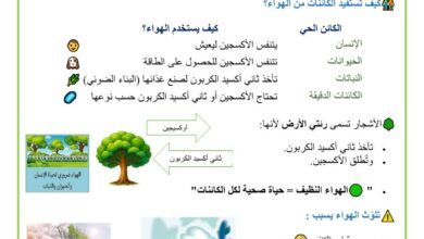 الهواء ضروري لجميع الكائنات الحية
