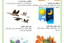 مظاهر فصل الخريف