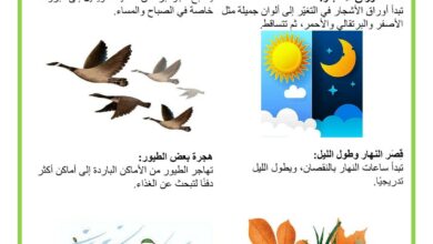 مظاهر فصل الخريف