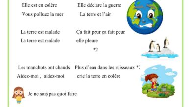 chanson sauvons la terre la terre est malade