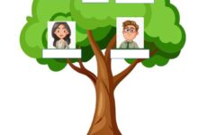 family tree