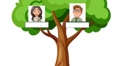 family tree