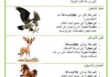 التنقل عند الحيوان اسرع الحيوانات في العالم