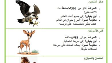 التنقل عند الحيوان اسرع الحيوانات في العالم