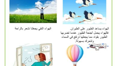 آثار الهواء وأهميته