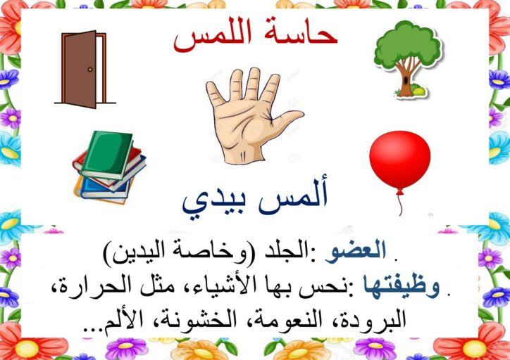 الحواس الخمس معلقات موقع مدرستي