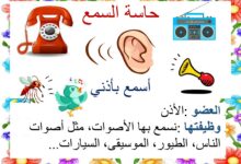 الحواس الخمس معلقات موقع مدرستي
