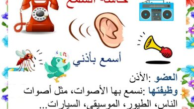 الحواس الخمس معلقات موقع مدرستي