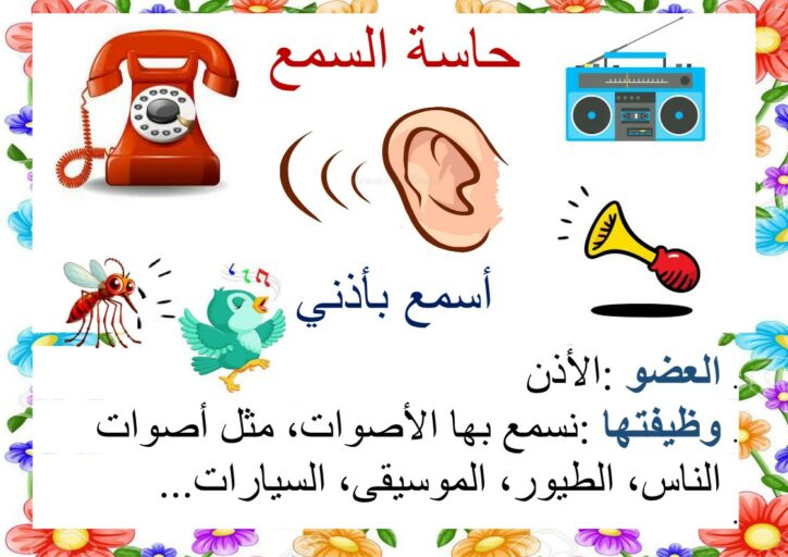 الحواس الخمس معلقات موقع مدرستي