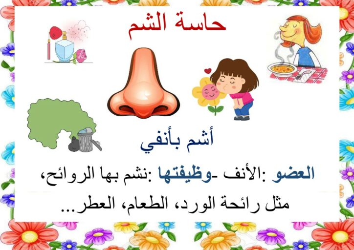 الحواس الخمس معلقات موقع مدرستي