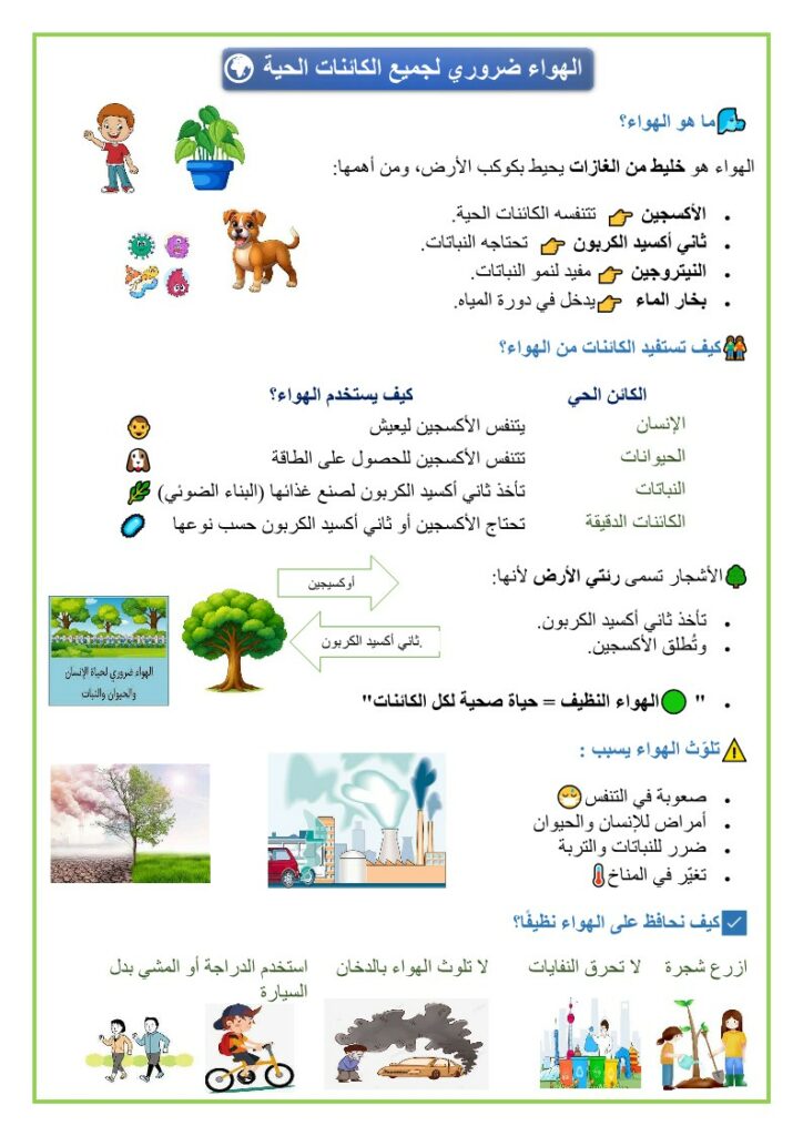 الهواء ضروري لجميع الكائنات الحية