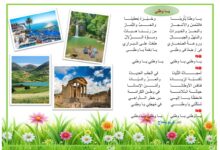 يا وطني قصيدة د كريم بلحاج