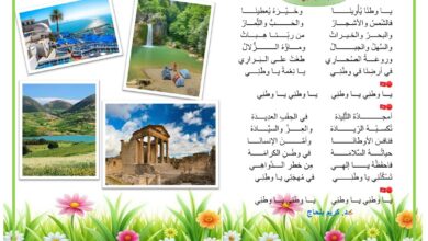 يا وطني قصيدة د كريم بلحاج