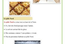 découvrir d'autres modes de vies africains italiens français chinois