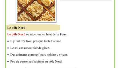 découvrir d'autres modes de vies africains italiens français chinois