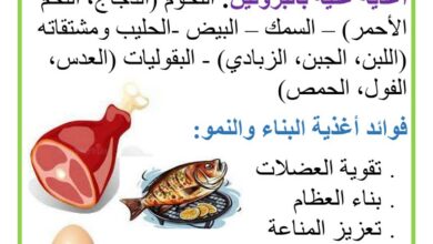 أغذية الطاقة أغذية الوقاية أغذية النمو - معلقات