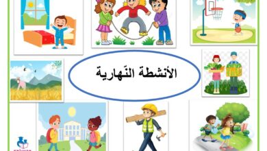 الانشطة النهارية و الانشطة الليلية