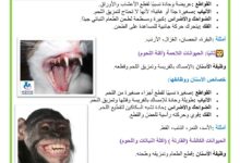 وظائف الاسنان عند الحيوانات العاشبة و اللاحمة و الكالشة