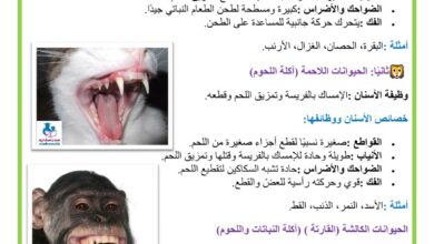 وظائف الاسنان عند الحيوانات العاشبة و اللاحمة و الكالشة