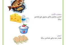 الأغذية الغنية بفيتامين ب12