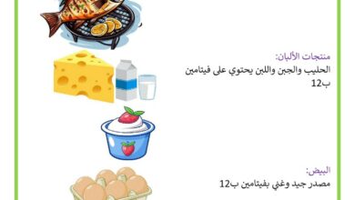 الأغذية الغنية بفيتامين ب12