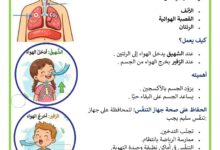 التنفس عند الانسان السنة 2