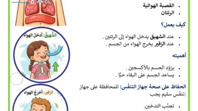 التنفس عند الانسان السنة 2