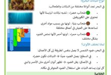النباتات البحرية - الوسط البيئي السنة 6