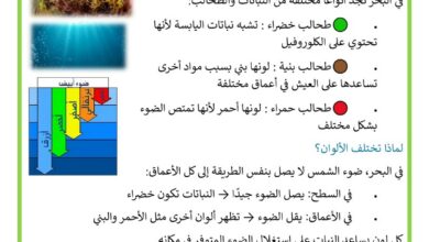 النباتات البحرية - الوسط البيئي السنة 6